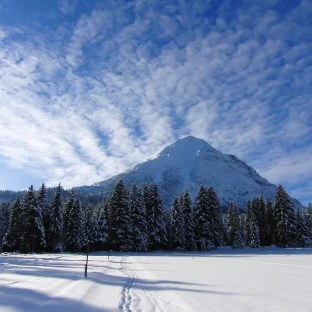 Alpenchalet Im Leutaschtal 木屋 *