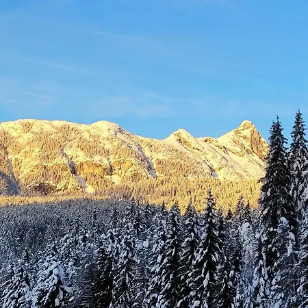 Alpenchalet Im Leutaschtal Chalé Leutasch