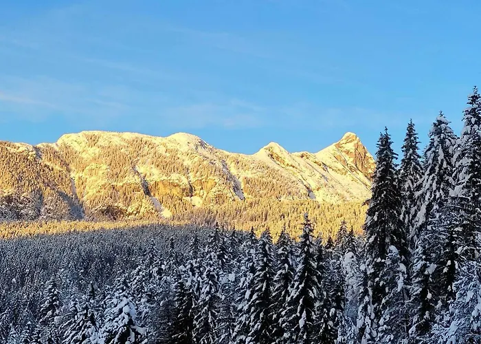 Alpenchalet Im Leutaschtal Chalé Leutasch